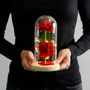 06b5dc08af17215ac051528da0f01c2a