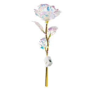 5176e23e49d82cdb78a43016215368af